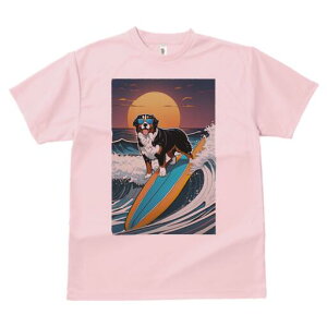 o[j[Y}EehbO TVc  j[NfUCfB[X t@  t vg lJWA 킢 lԗp Mtg I ҏ΍ T[tB o[j[Y}E