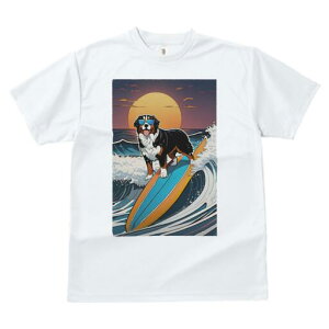 o[j[Y}EehbO TVc  j[NfUCfB[X t@  t vg lJWA 킢 lԗp Mtg I ҏ΍ T[tB o[j[Y}E