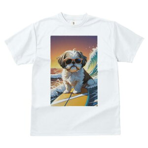 V[Y[ TVc  j[NfUCfB[X t@  t vg lJWA 킢 lԗp Mtg I ҏ΍ g V[Y[ T[tB TOX C