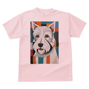 EGXgnChzCgeA TVc  j[NfUCfB[X t@  t vg lJWA 킢 lԗp Mtg I ҏ΍ EGXgnChz