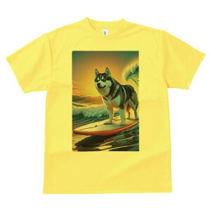 VxAnXL[ TVc  j[NfUCY LbY t@  t vg lJWA 킢 lԗp Mtg I ҏ΍ g VxAnXL[ T[tB 