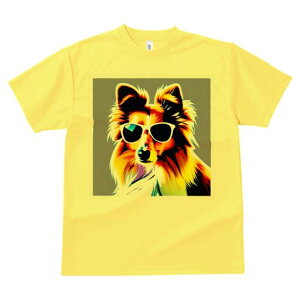 VFbghV[vhbO TVc  j[NfUCfB[X t@  t vg lJWA 킢 lԗp Mtg I ҏ΍ TOX VFbghV