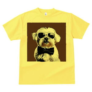 }`[Y TVc  j[NfUCfB[X t@  t vg lJWA 킢 lԗp Mtg I ҏ΍ lN^C }`[Y TOX