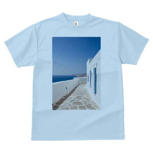 TVc  j[NfUCfB[X t@  t vg lJWA 킢 lԗp Mtg I ҏ΍ MV Tg[j C  i