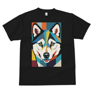 nXL[ TVc  j[NfUCfB[X t@  t vg lJWA 킢 lԗp Mtg I ҏ΍ 􉽊w͗l nXL[ A[g