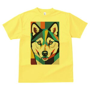 nXL[ TVc  j[NfUCfB[X t@  t vg lJWA 킢 lԗp Mtg I ҏ΍ 􉽊w͗l nXL[ A[g