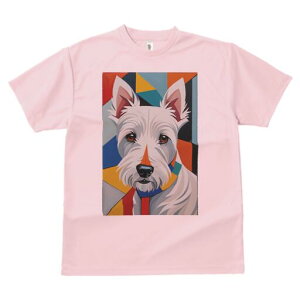 EGXgnChzCgeA TVc  j[NfUCfB[X t@  t vg lJWA 킢 lԗp Mtg I ҏ΍ 􉽊w͗l EGXgn