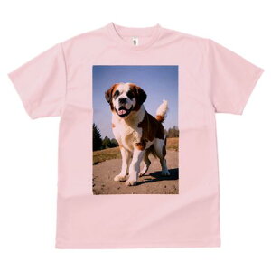 �Z���g�o�[�i�[�h T�V���c ���� ���j�[�N�f�U�C�����f�B�[�X ���t�@�� ���� �t�� �v�����g ��l�J�W���A�� ���킢�� �l�ԗp �M�t�g ���I �ҏ��΍� �U�� �Z���g�o�[�i�[�h �� �A�E�g�h�A