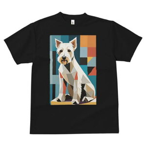 EGXgnChzCgeA TVc  j[NfUCfB[X t@  t vg lJWA 킢 lԗp Mtg I ҏ΍ 􉽊wI EGXgnC