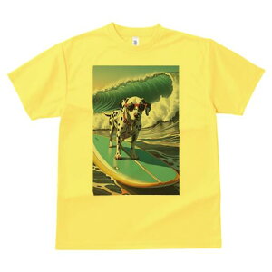 _VA TVc  j[NfUCfB[X t@  t vg lJWA 킢 lԗp Mtg I ҏ΍ T[tB _VA g C TOX