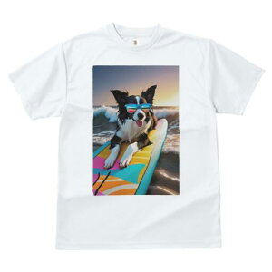 {[_[R[ TVc  j[NfUCfB[X t@  t vg lJWA 킢 lԗp Mtg I ҏ΍ T[tB {[_[R[ C TOX 