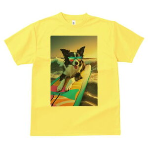 {[_[R[ TVc  j[NfUCfB[X t@  t vg lJWA 킢 lԗp Mtg I ҏ΍ T[tB {[_[R[ C TOX 