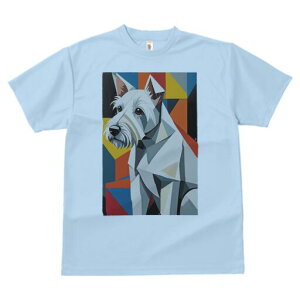 EGXgnChzCgeA TVc  j[NfUCfB[X t@  t vg lJWA 킢 lԗp Mtg I ҏ΍ 􉽊w͗l EGXgn