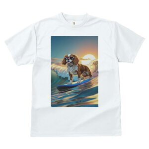 LoA TVc  j[NfUCfB[X t@  t vg lJWA 킢 lԗp Mtg I ҏ΍ T[tB LoA g C z