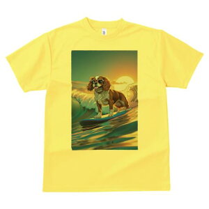 LoA TVc  j[NfUCfB[X t@  t vg lJWA 킢 lԗp Mtg I ҏ΍ T[tB LoA g C z