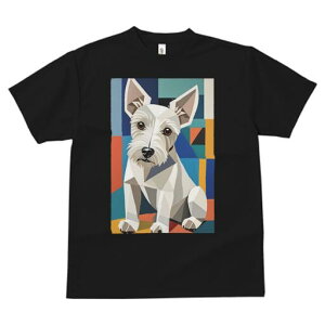 EGXgnChzCgeA TVc  j[NfUCfB[X t@  t vg lJWA 킢 lԗp Mtg I ҏ΍ 􉽊wI EGXgnC