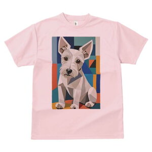 EGXgnChzCgeA TVc  j[NfUCfB[X t@  t vg lJWA 킢 lԗp Mtg I ҏ΍ 􉽊wI EGXgnC