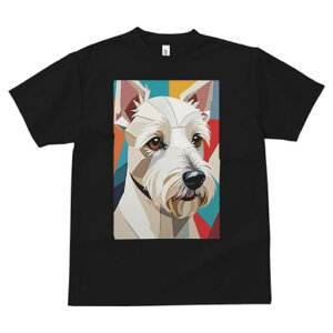 EGXgnChzCgeA TVc  j[NfUCfB[X t@  t vg lJWA 킢 lԗp Mtg I ҏ΍ A[g EGXgnC