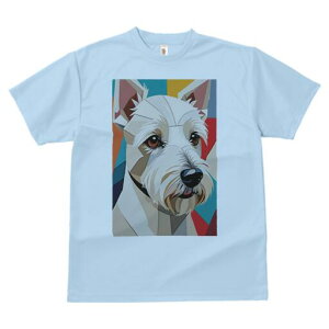 EGXgnChzCgeA TVc  j[NfUCfB[X t@  t vg lJWA 킢 lԗp Mtg I ҏ΍ A[g EGXgnC