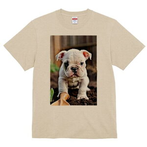 uhbO TVc  j[NfUCfB[X t@  t vg lJWA 킢 lԗp Mtg I ҏ΍  uhbO y XRbv c