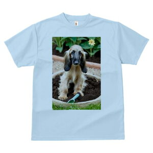 AtKnEh TVc  j[NfUCfB[X t@  t vg lJWA 킢 lԗp Mtg I ҏ΍  AtKnEh | y