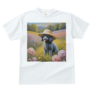 v[h TVc  j[NfUCfB[X t@  t vg lJWA 킢 lԗp Mtg I ҏ΍ Xq v[h 