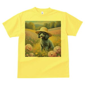 v[h TVc  j[NfUCfB[X t@  t vg lJWA 킢 lԗp Mtg I ҏ΍ Xq v[h 