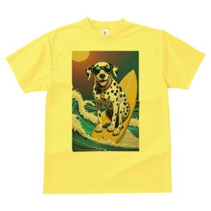 _VA TVc  j[NfUCY LbY t@  t vg lJWA 킢 lԗp Mtg I ҏ΍ T[tB _VA C g TO