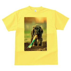 AtKnEh TVc  j[NfUCfB[X t@  t vg lJWA 킢 lԗp Mtg I ҏ΍ Vx AtKnEh y