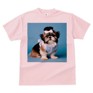 V[Y[ TVc  j[NfUCfB[X t@  t vg lJWA 킢 lԗp Mtg I ҏ΍ { V[Y[ Xq 