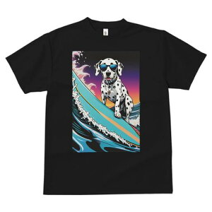 _VA TVc  j[NfUCfB[X t@  t vg lJWA 킢 lԗp Mtg I ҏ΍ T[tB _VA g TOX C