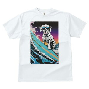 _VA TVc  j[NfUCfB[X t@  t vg lJWA 킢 lԗp Mtg I ҏ΍ T[tB _VA g TOX C