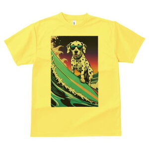 _VA TVc  j[NfUCfB[X t@  t vg lJWA 킢 lԗp Mtg I ҏ΍ T[tB _VA g TOX C