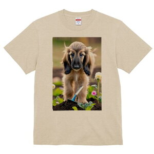 AtKnEh TVc  j[NfUCfB[X t@  t vg lJWA 킢 lԗp Mtg I ҏ΍ K[fjO AtKnEh   y