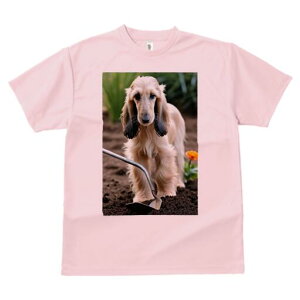 AtKnEh TVc  j[NfUCfB[X t@  t vg lJWA 킢 lԗp Mtg I ҏ΍  AtKnEh  y