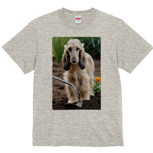 AtKnEh TVc  j[NfUCfB[X t@  t vg lJWA 킢 lԗp Mtg I ҏ΍  AtKnEh  y