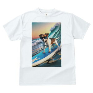 WbNbZeA TVc  j[NfUCfB[X t@  t vg lJWA 킢 lԗp Mtg I ҏ΍ T[tB WbNbZe