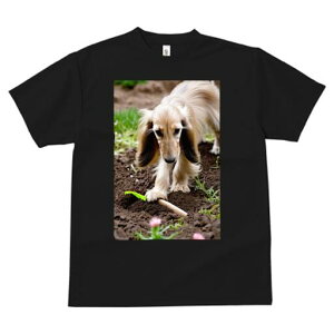 AtKnEh TVc  j[NfUCfB[X t@  t vg lJWA 킢 lԗp Mtg I ҏ΍  AtKnEh y XRbv