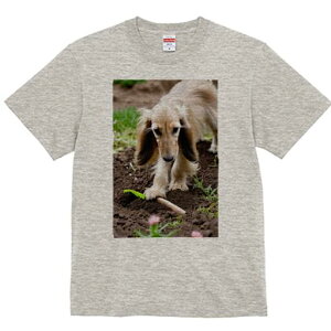 AtKnEh TVc  j[NfUCfB[X t@  t vg lJWA 킢 lԗp Mtg I ҏ΍  AtKnEh y XRbv