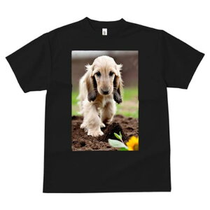 AtKnEh TVc  j[NfUCfB[X t@  t vg lJWA 킢 lԗp Mtg I ҏ΍ y AtKnEh Ђ܂