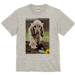 AtKnEh TVc  j[NfUCfB[X t@  t vg lJWA 킢 lԗp Mtg I ҏ΍ y AtKnEh Ђ܂