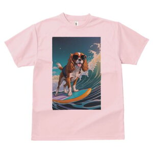 LoA TVc  j[NfUCfB[X t@  t vg lJWA 킢 lԗp Mtg I ҏ΍ T[tB LoA C g TOX