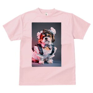 V[Y[ TVc  j[NfUCfB[X t@  t vg lJWA 킢 lԗp Mtg I ҏ΍ Ch V[Y[ {