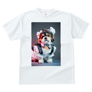 V[Y[ TVc  j[NfUCfB[X t@  t vg lJWA 킢 lԗp Mtg I ҏ΍ Ch V[Y[ {