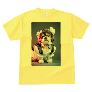 V[Y[ TVc  j[NfUCfB[X t@  t vg lJWA 킢 lԗp Mtg I ҏ΍ Ch V[Y[ {