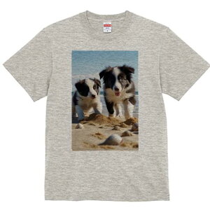 {[_[R[ TVc  j[NfUCfB[X t@  t vg lJWA 킢 lԗp Mtg I ҏ΍ C {[_[R[ l Lk