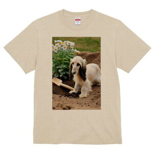 AtKnEh TVc  j[NfUCfB[X t@  t vg lJWA 킢 lԗp Mtg I ҏ΍  AtKnEh  Vx