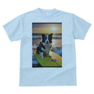 {[_[R[ TVc  j[NfUCfB[X t@  t vg lJWA 킢 lԗp Mtg I ҏ΍ T[tB {[_[R[ C [ g