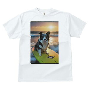 {[_[R[ TVc  j[NfUCfB[X t@  t vg lJWA 킢 lԗp Mtg I ҏ΍ T[tB {[_[R[ C [ g