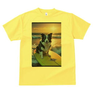 {[_[R[ TVc  j[NfUCfB[X t@  t vg lJWA 킢 lԗp Mtg I ҏ΍ T[tB {[_[R[ C [ g